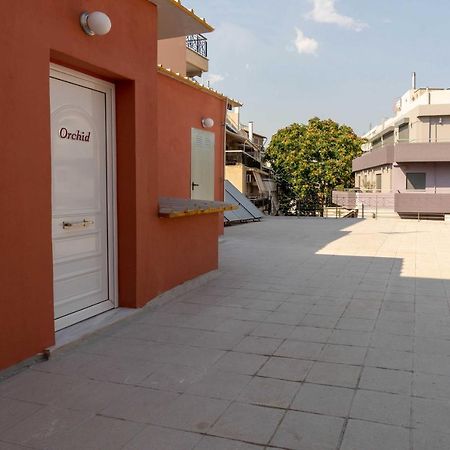 Orchid Athens Over Rooftop Studio公寓 外观 照片