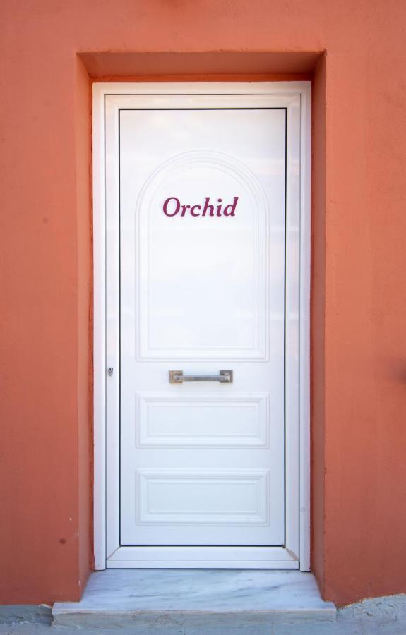 Orchid Athens Over Rooftop Studio公寓 外观 照片
