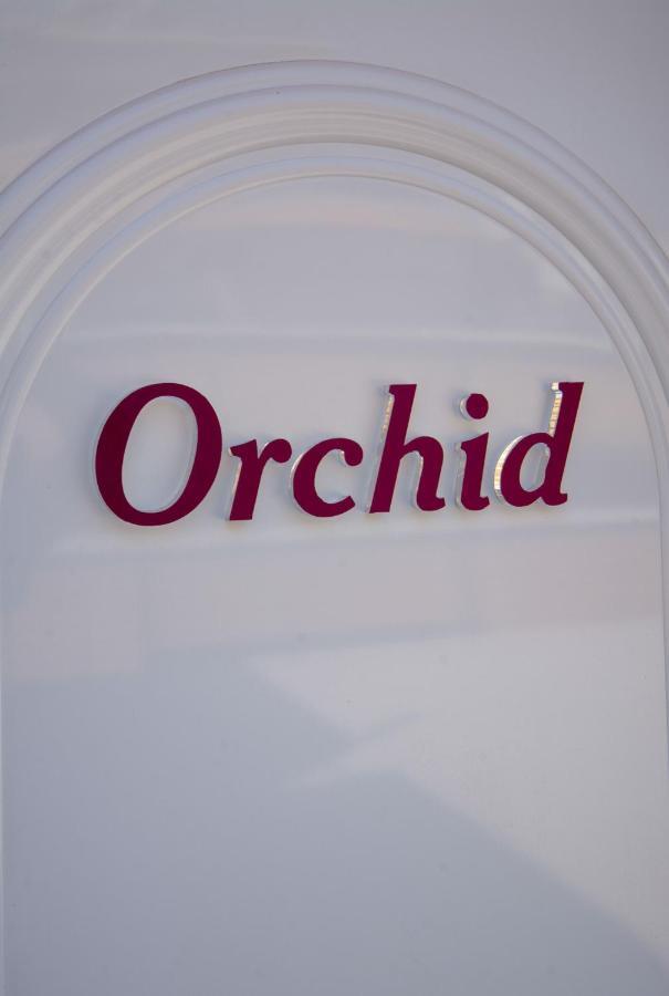 Orchid Athens Over Rooftop Studio公寓 外观 照片